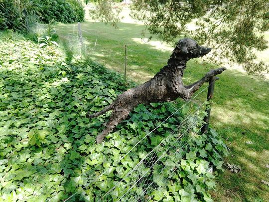 Dog sculpture at Pashley Manor