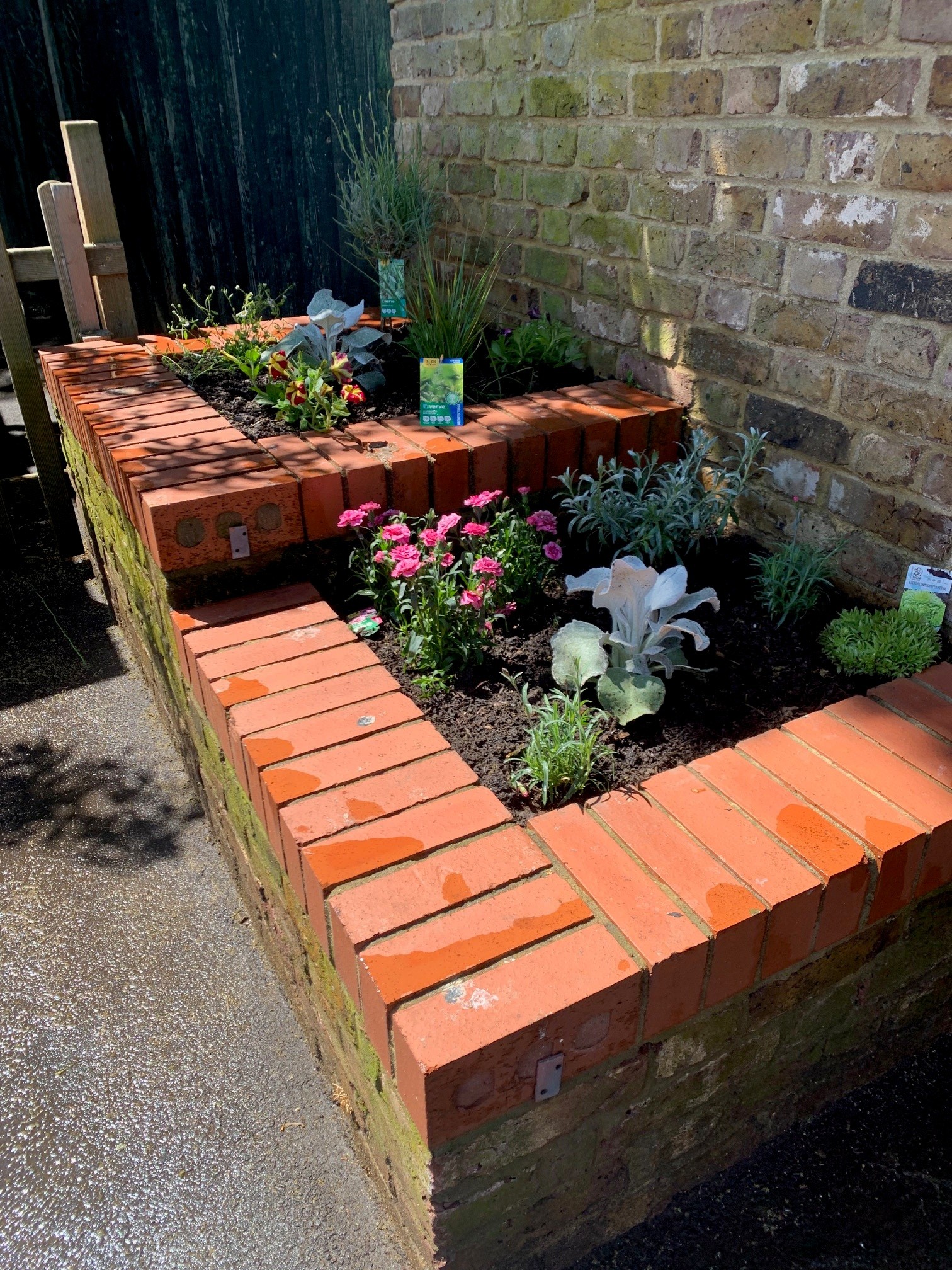 sensory garden in raised plant beds